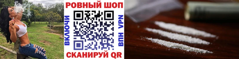 МЕФ Тайга